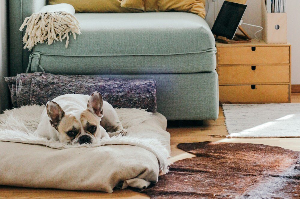 Avoiding Mortgage Mistakes: Tips for First-Time Homebuyers