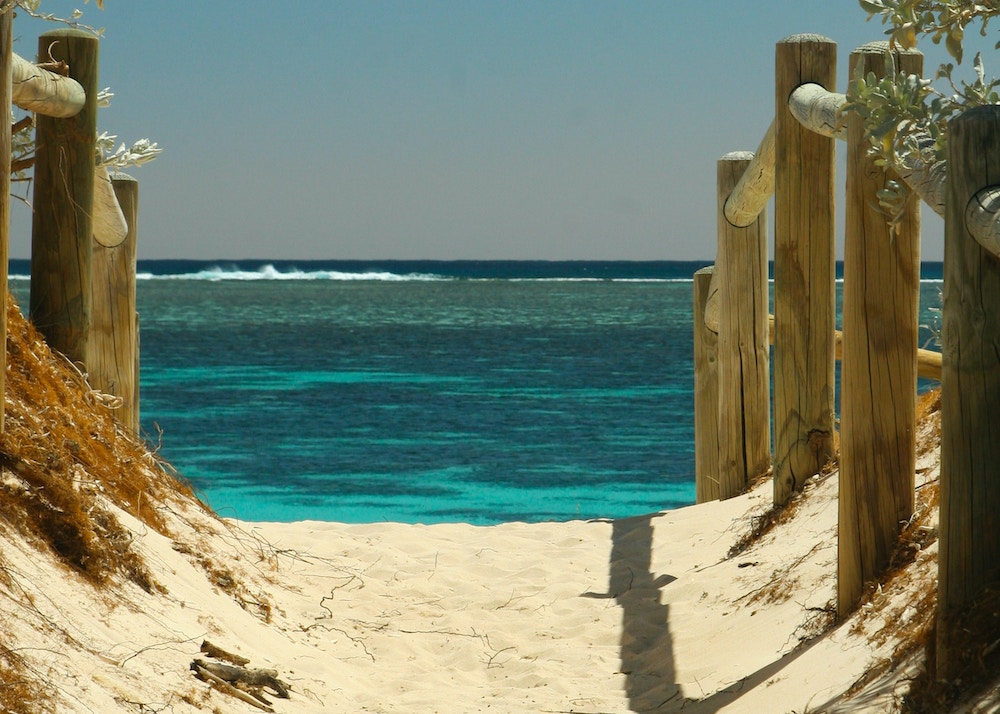 Things to Do on Venice Island in Florida
