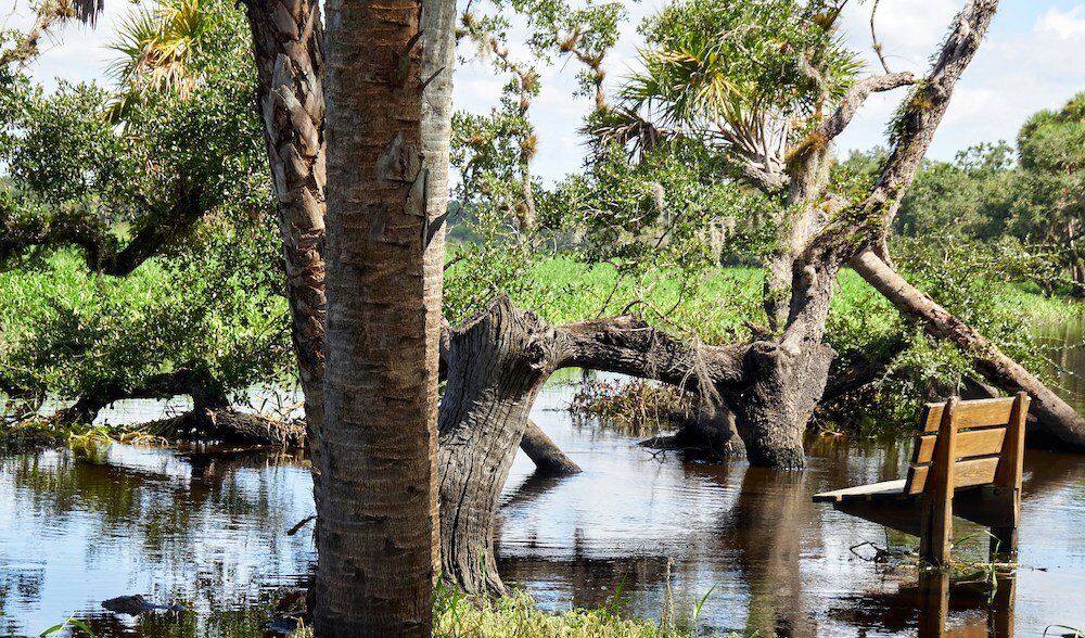Picking Up the Pieces: A Guide to Flood Recovery in Florida