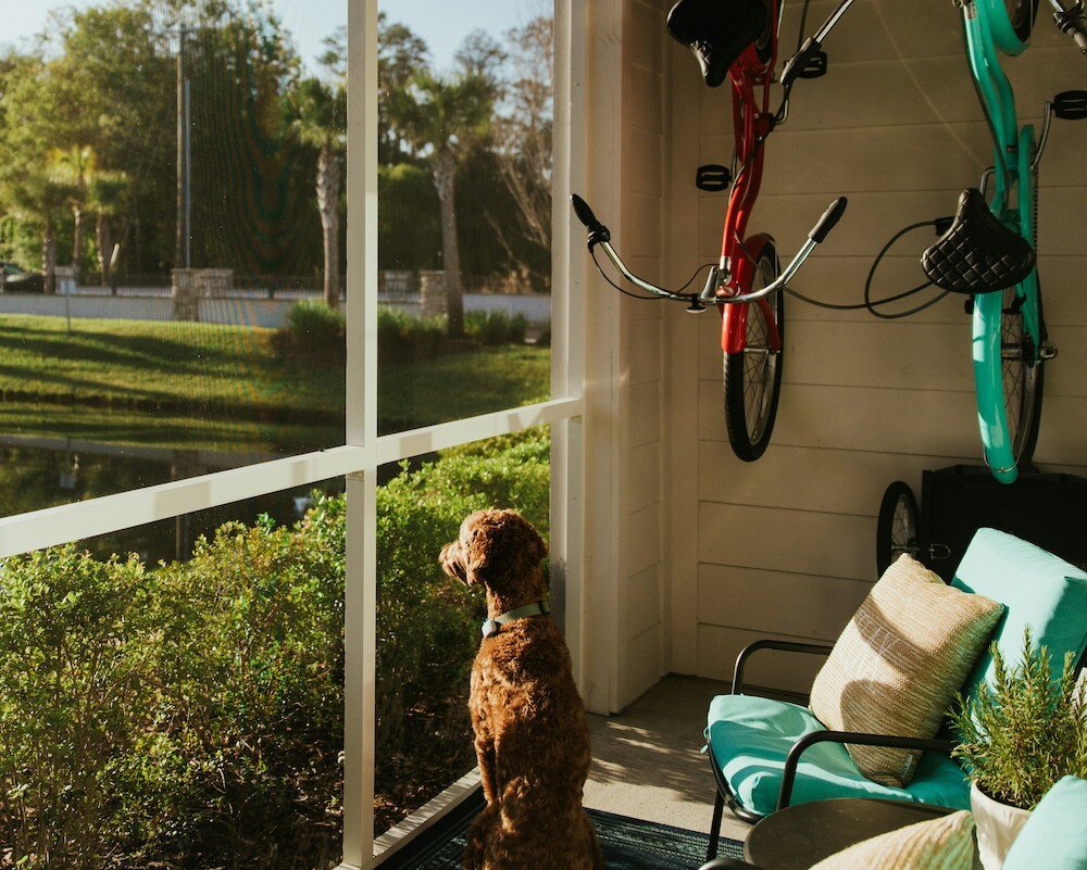 HELOCs for Florida Homeowners Without a Mortgage: A Unique Opportunity