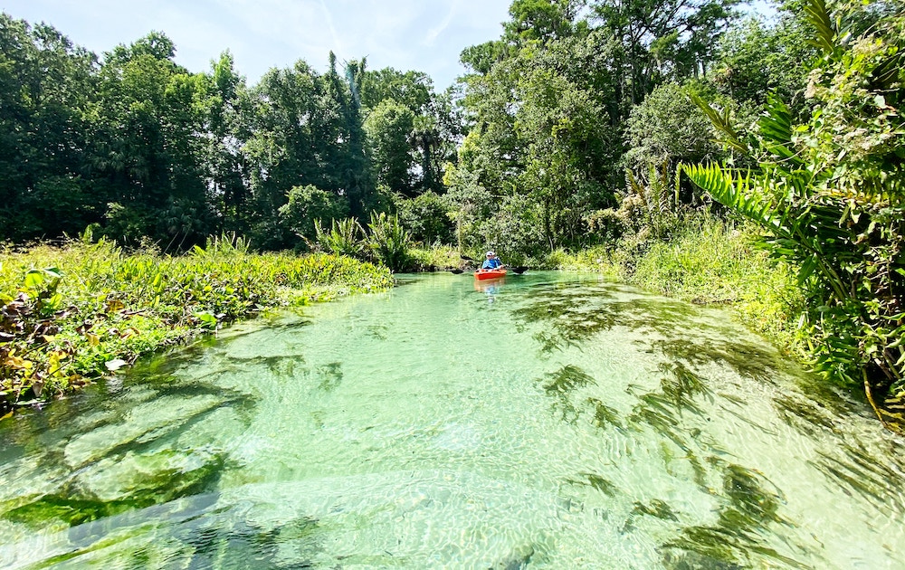 In-State Staycation Ideas in Florida: Let's Unleash Your Inner Sunshine