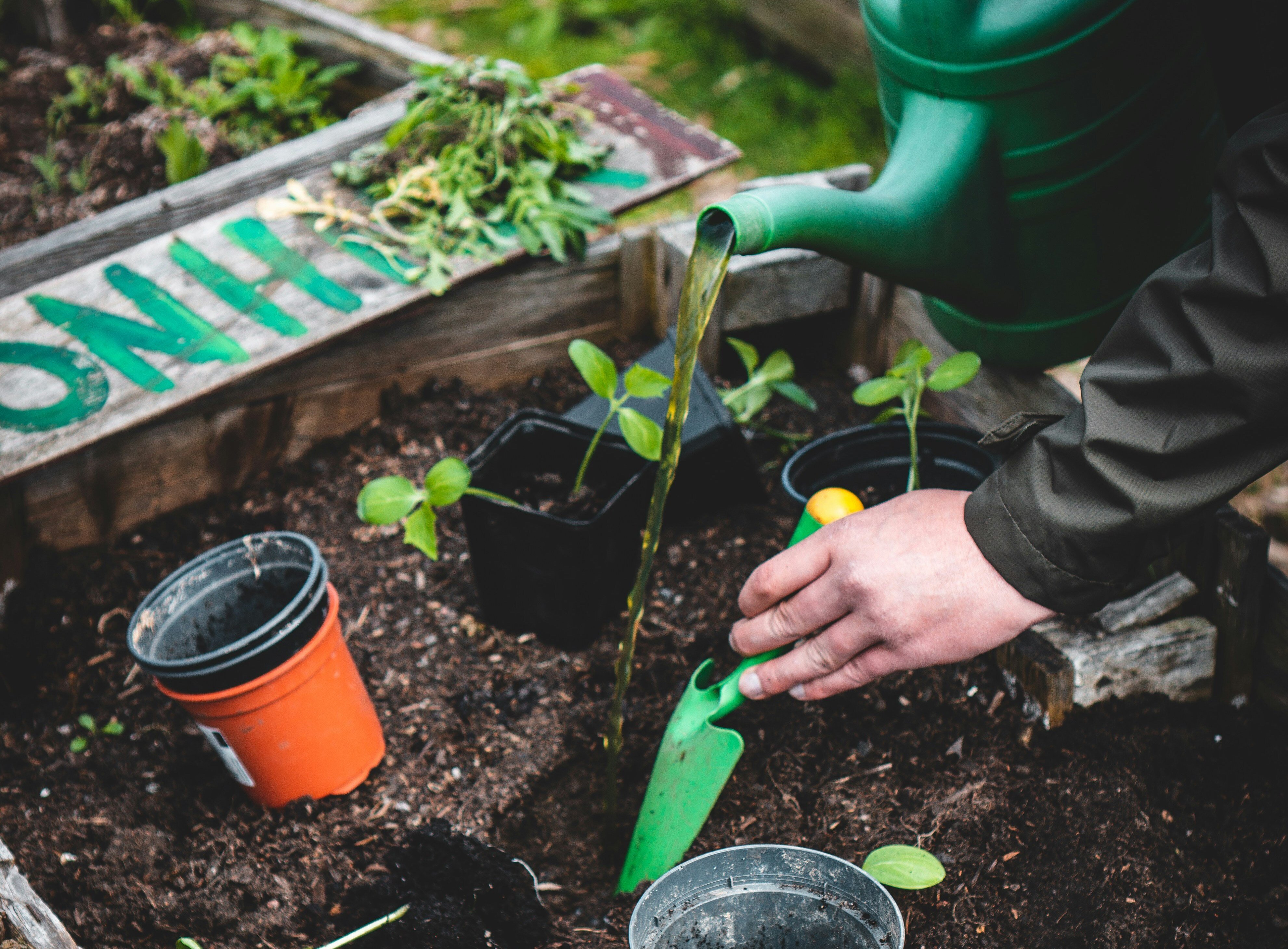 Fall into Florida Gardening: Preparing Your Garden for Cooler Months