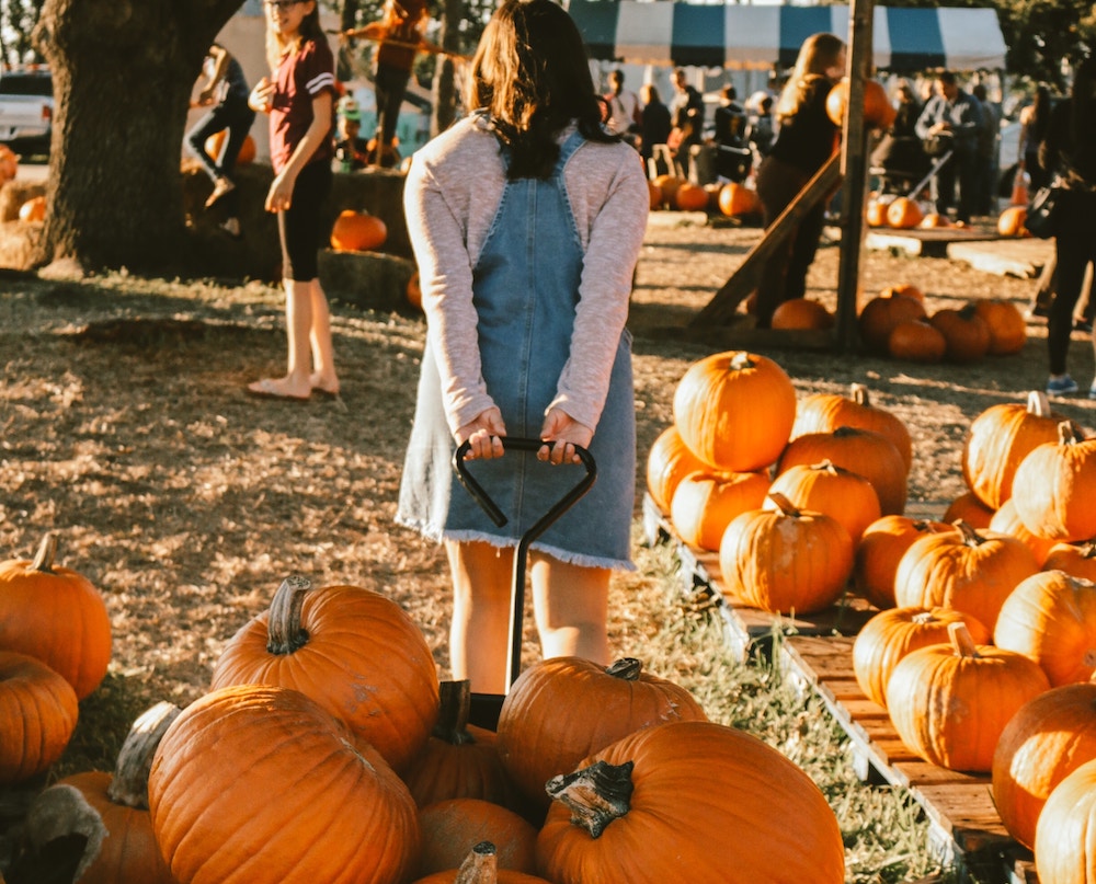 Upcoming Fall Activities to Enjoy In Sarasota, Florida