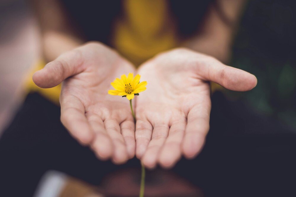 Building Strength, Community, and Hope: Parkinson Place’s Impact in Sarasota and Manatee
