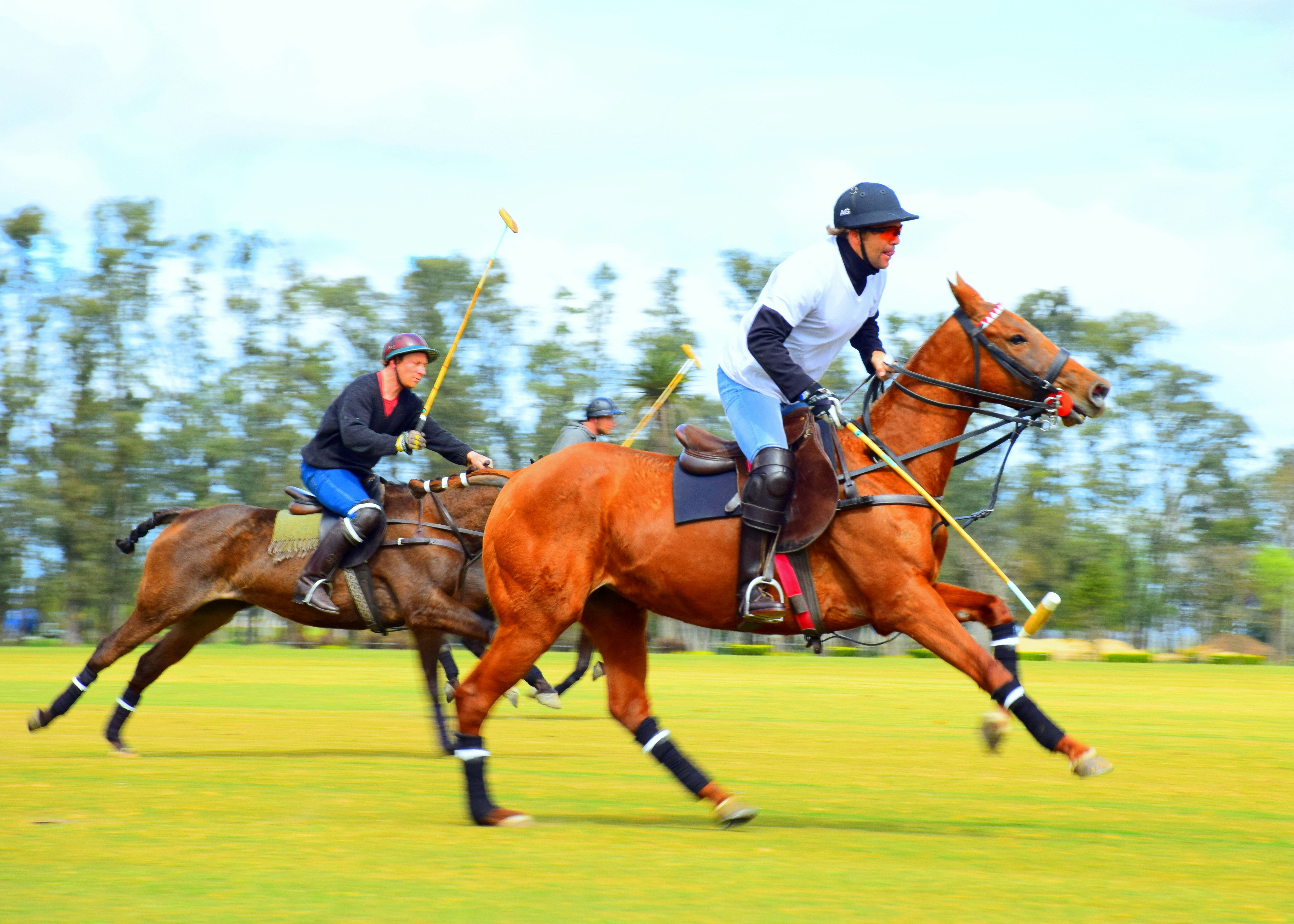 A Guide to the Lakewood Ranch Polo Club: A Gateway to the Sport of Kings