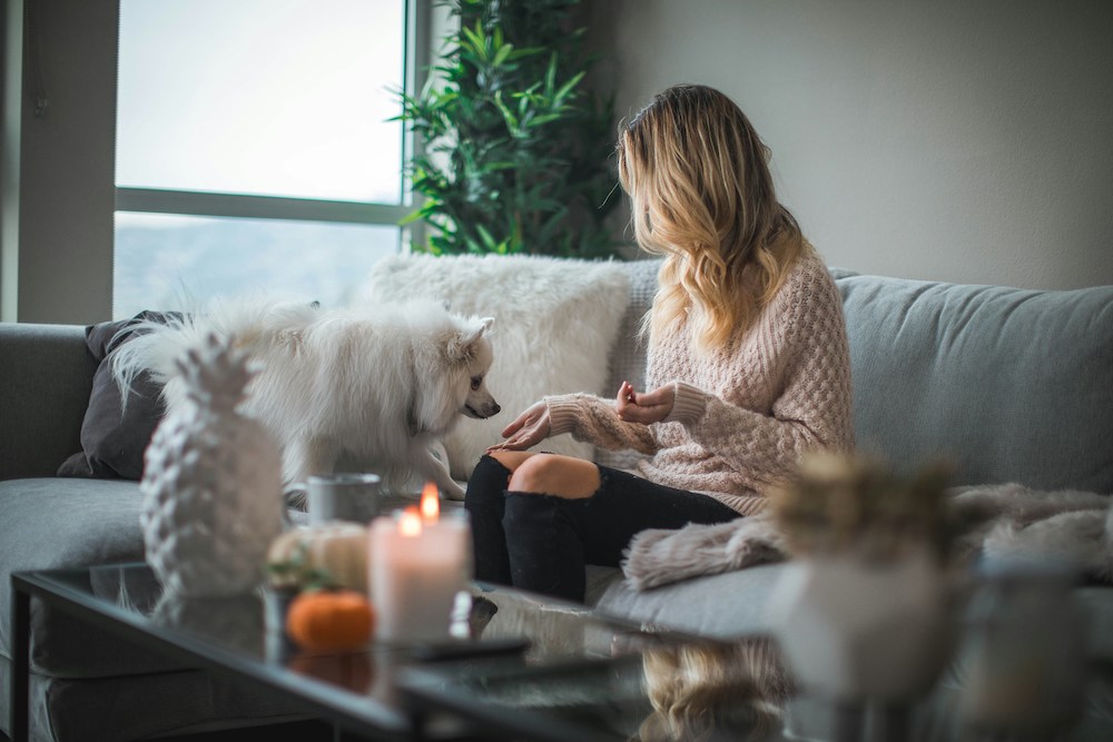 Is It Hard to Qualify for a HELOC? Find Out Here