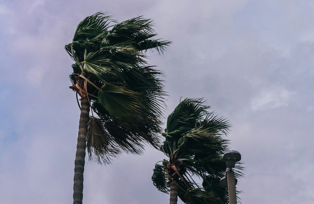 Hurricane Readiness & Recovery: Months, Weeks, and Days of Preparation