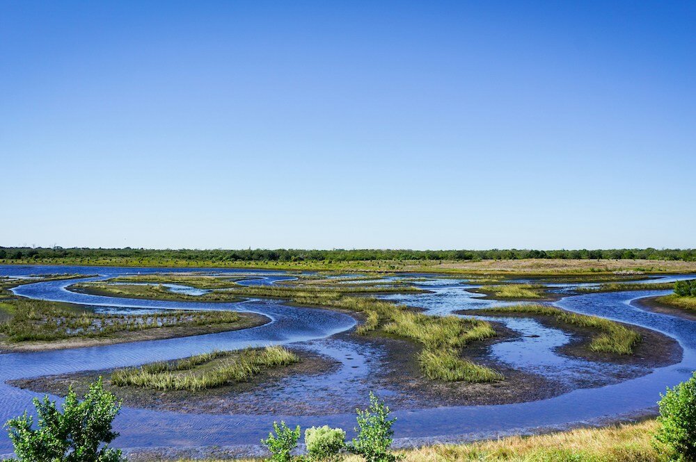 Explore the Beauty of Robinson Preserve in Bradenton, Florida