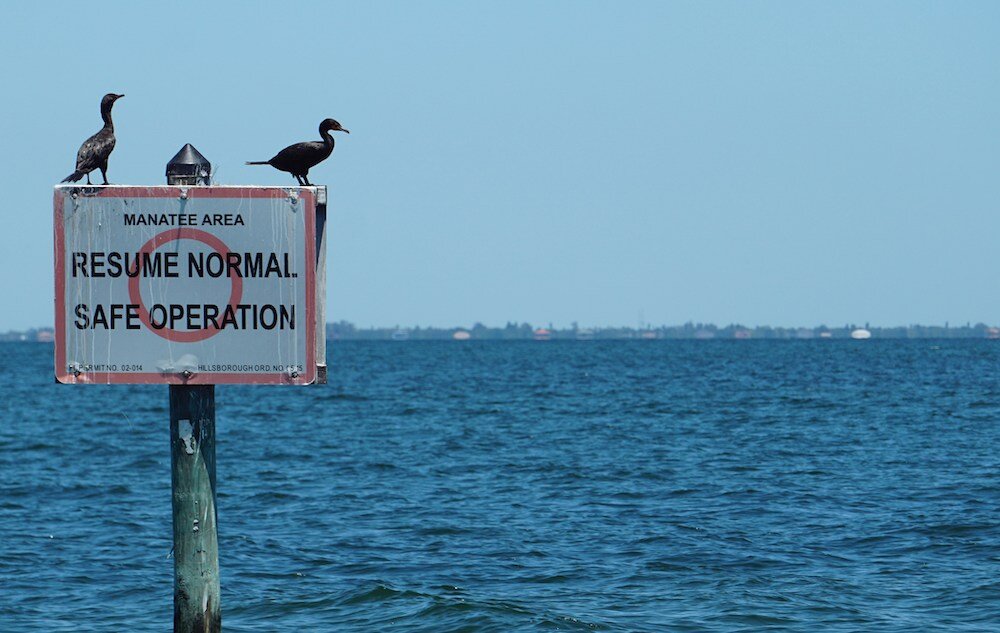 Hurricane Prep for Newcomers: What You Need to Know for Florida Living