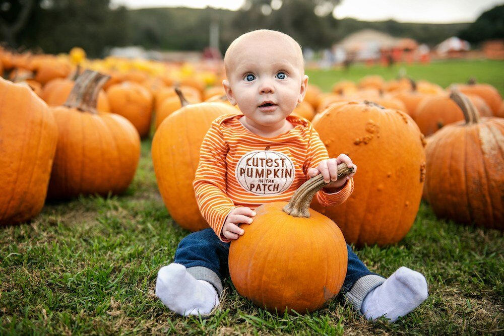 Boo! at The Bay: A Spooky Spectacular for All Ages