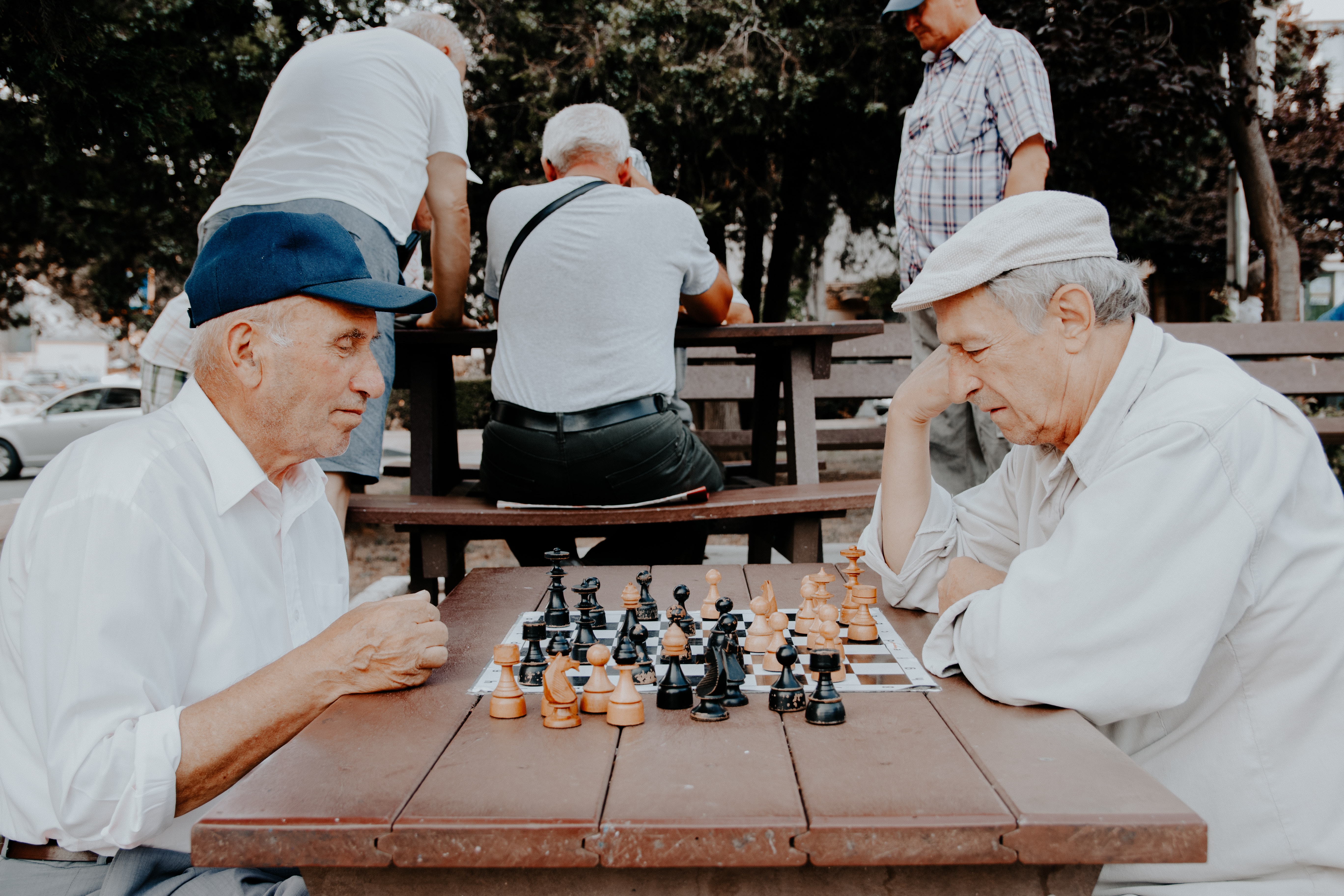 Sarasota's Activity & Educational Clubs For Adults of All Ages