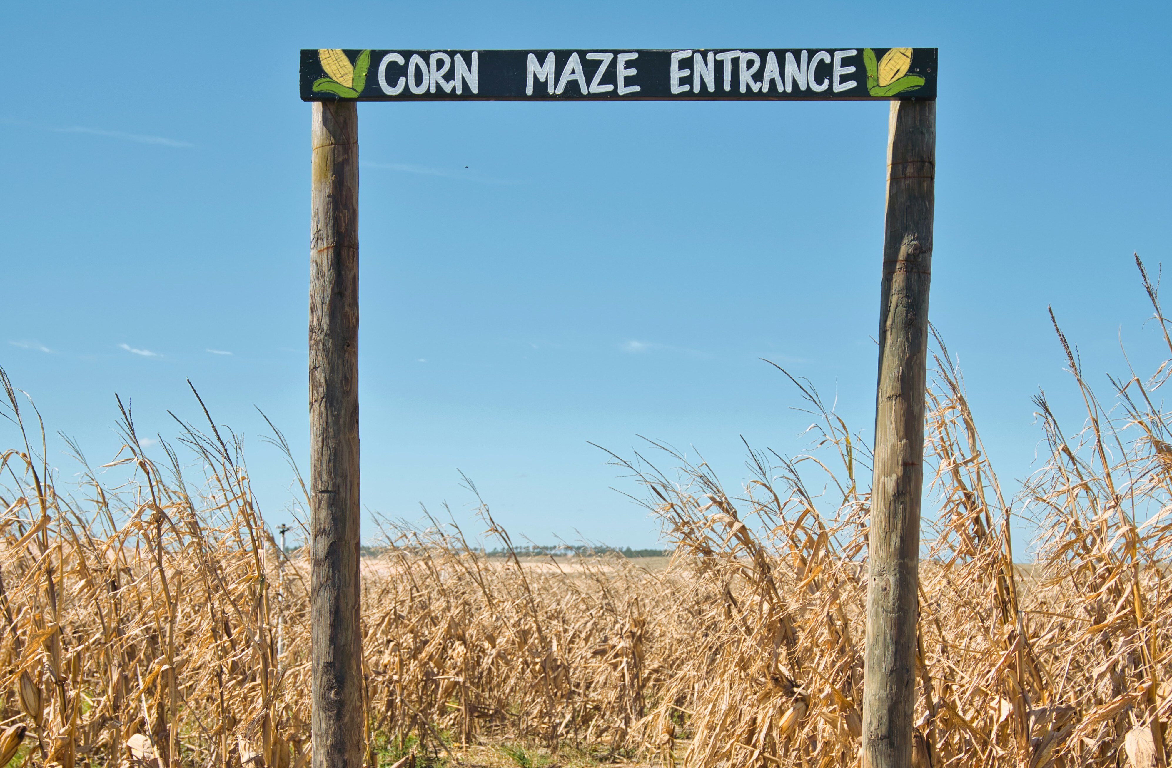 A Fall Feast at Hunsader Farms: The Pumpkin Festival