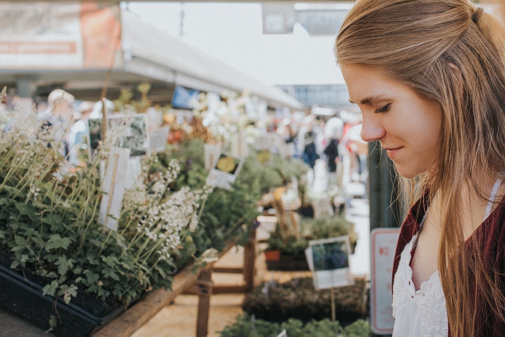 Farmers Market Season is Back: Your Guide to Sarasota/Manatee County's Best Markets